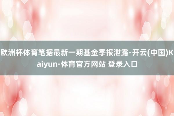 欧洲杯体育笔据最新一期基金季报泄露-开云(中国)Kaiyun·体育官方网站 登录入口