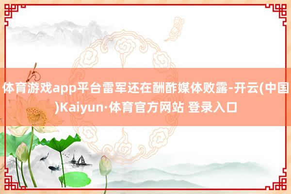 体育游戏app平台雷军还在酬酢媒体败露-开云(中国)Kaiyun·体育官方网站 登录入口